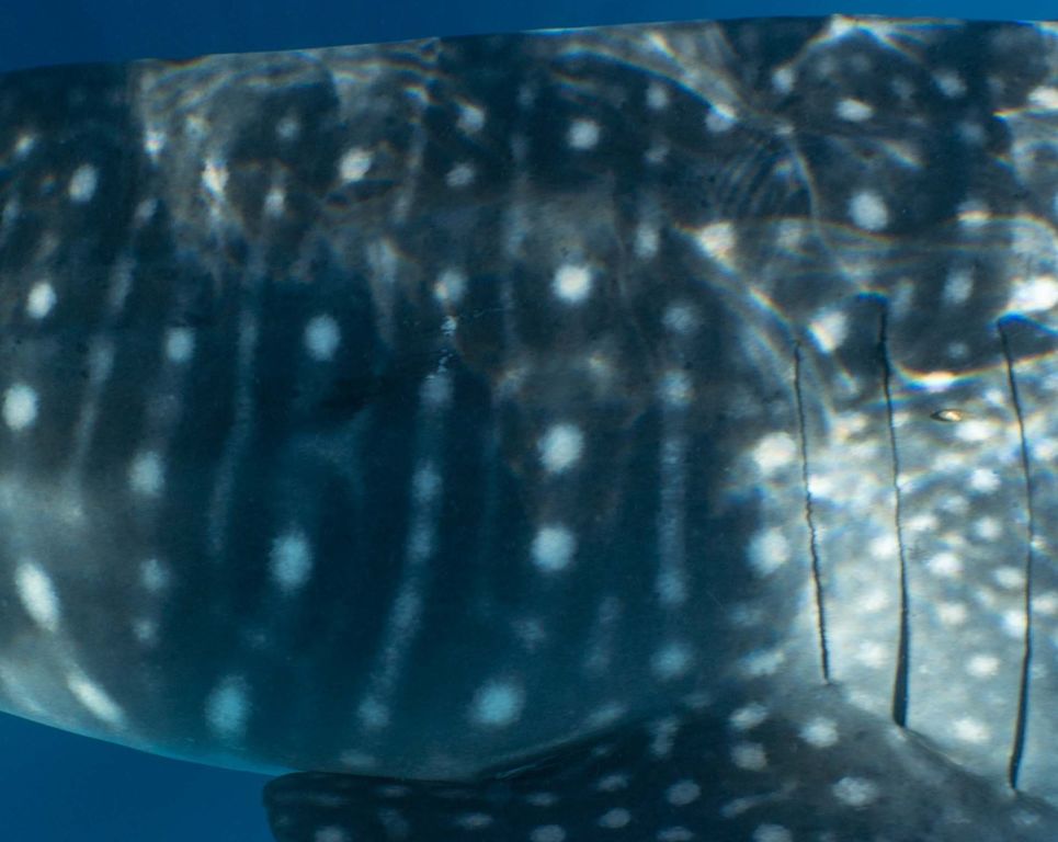 23169545-249a-4281-859e-8be8d543b958