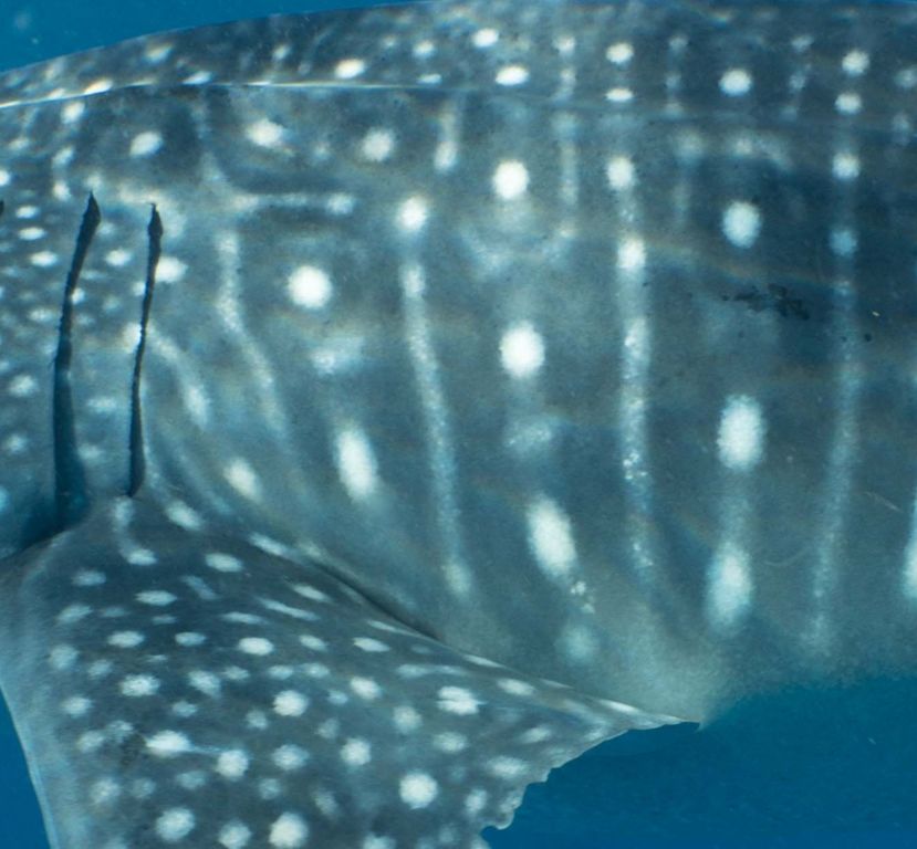 23169545-249a-4281-859e-8be8d543b958