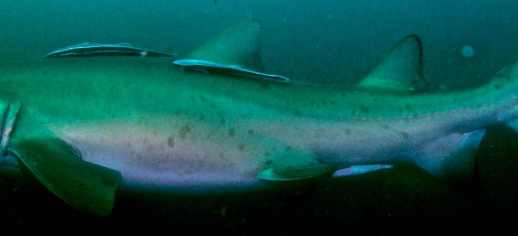 3f283550-20ba-487e-830e-bef3fed21de6