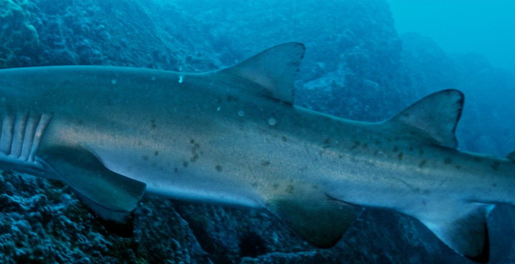 975b7501-d8a7-47e9-a643-c5ea2cd5c2a9