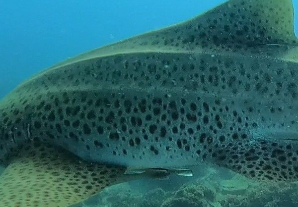 b9609171-24f8-4a67-92bf-9c366a62b0d2