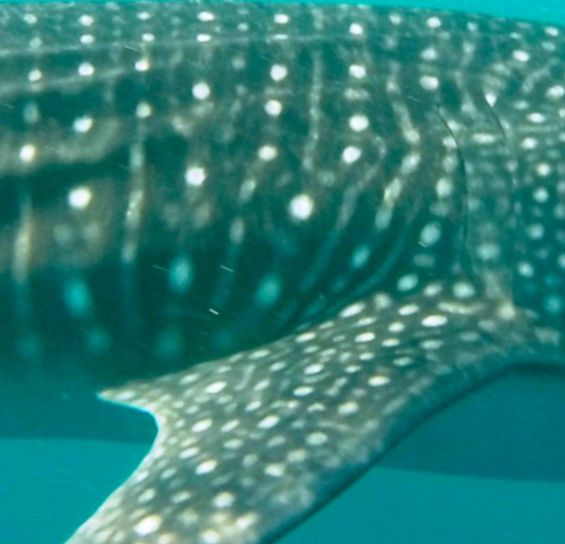 45016f99-f84e-44d0-a51d-b347a56b1d37