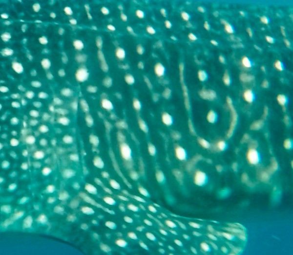 45016f99-f84e-44d0-a51d-b347a56b1d37