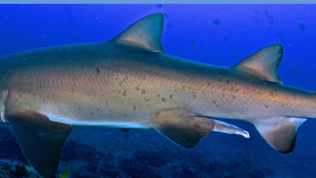 7d0bcadb-81f9-40b7-a133-cd21bc33bda0