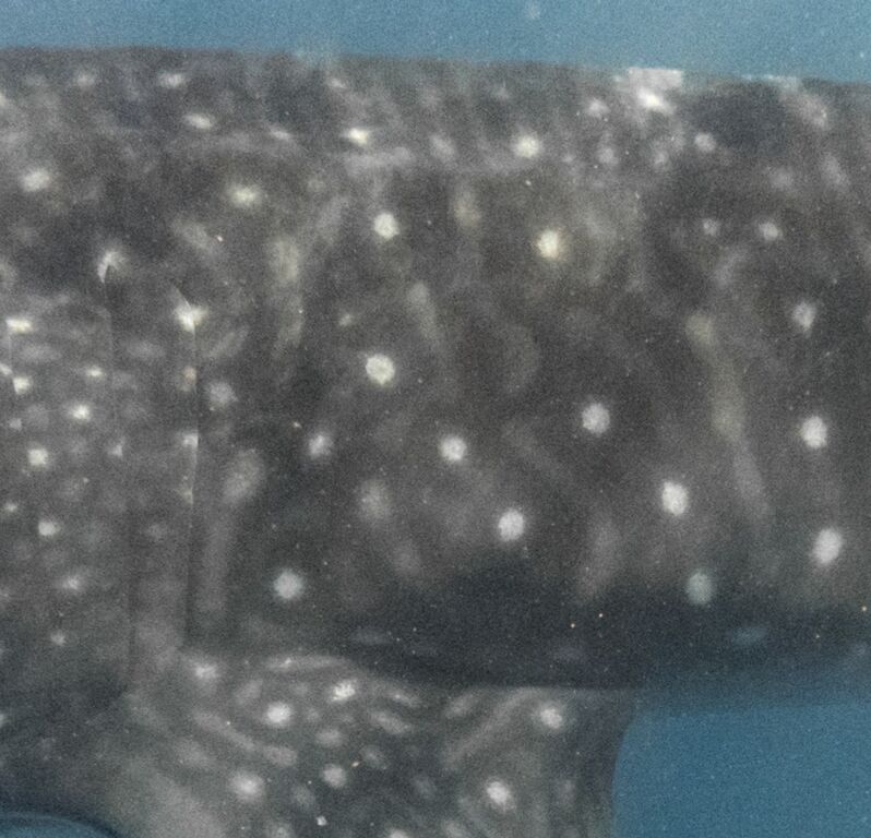 12d065c5-adc4-4848-b539-15167d23c207