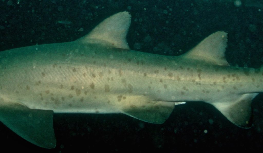 751ebadb-0ab8-45ad-907c-bf47c3cb49f8