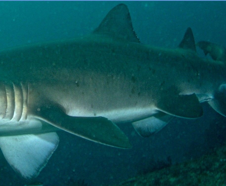 939b668c-735f-4026-b0a7-1979f3cf4aad