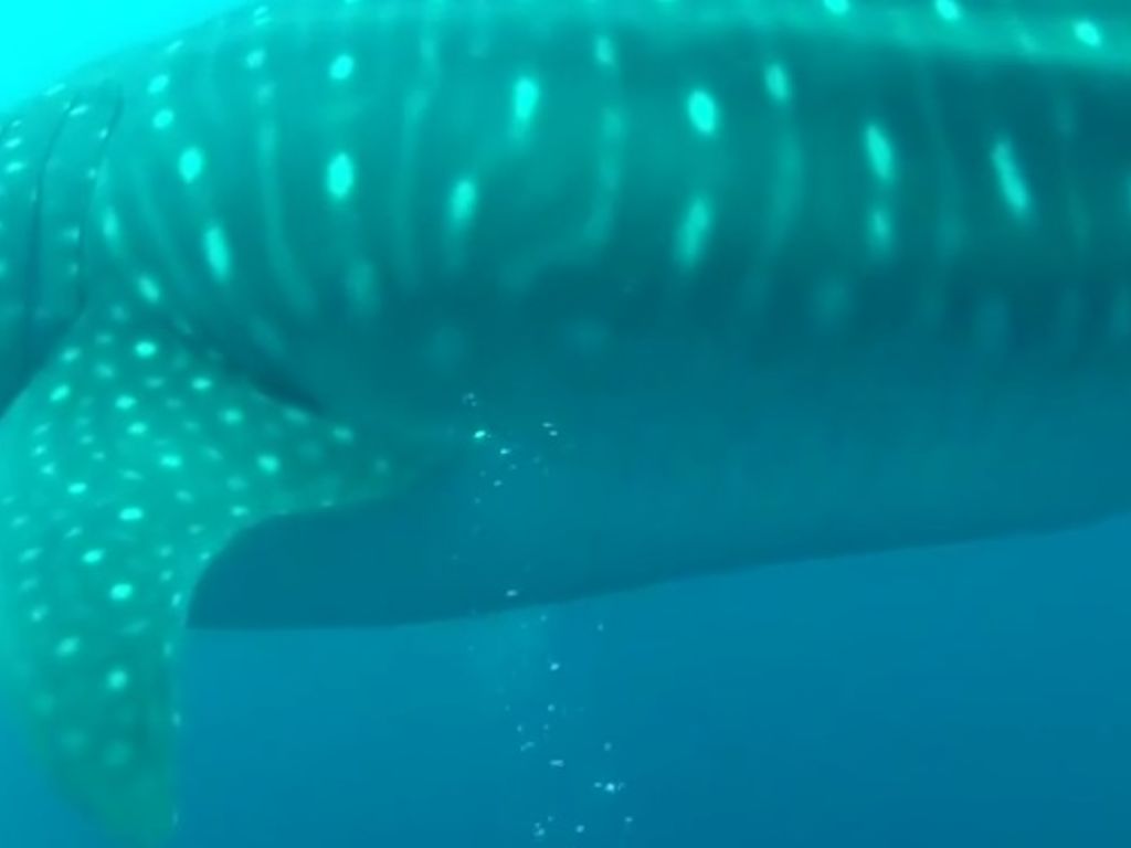 ec7a3716-fc12-4682-b76d-4142e0ba93d3