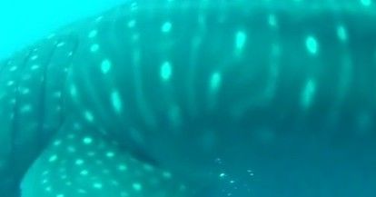 ec7a3716-fc12-4682-b76d-4142e0ba93d3