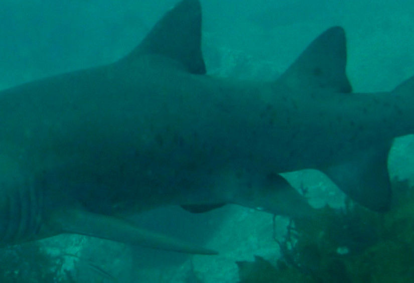 d19fbfc3-ba4e-45f3-b0a7-52411d57cfc6