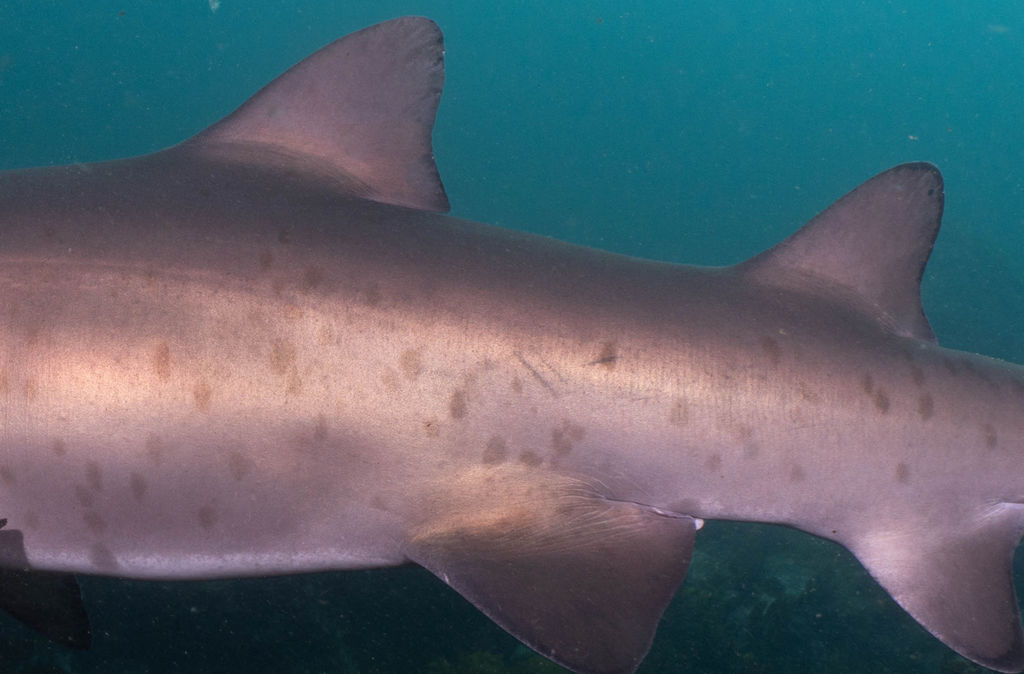 c6517d8b-d40f-43f5-9e12-4acad39fd069