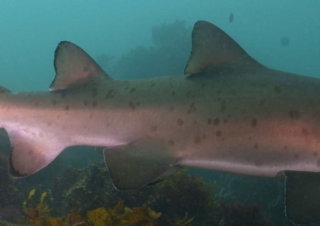 f074efd9-b786-4889-8afa-97b98703040e