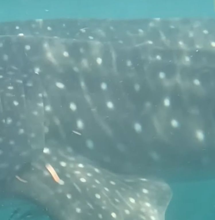 796c2a6f-8c48-4ffc-9ccf-2c4ab95bfcd5