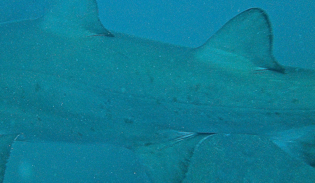 33dc2289-2fe9-4de3-bbeb-900c7402f451