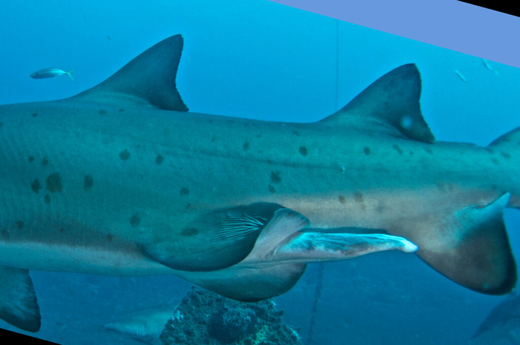 17169485-0411-445f-957c-d3815176ae4b