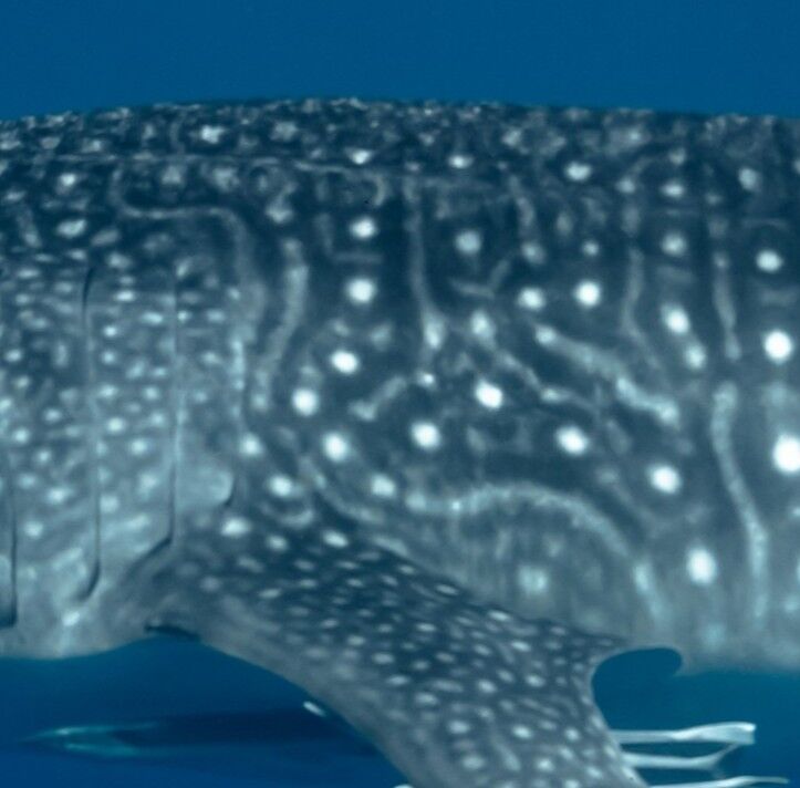 692ade84-2ddd-4e5e-9502-cd73d72e1140