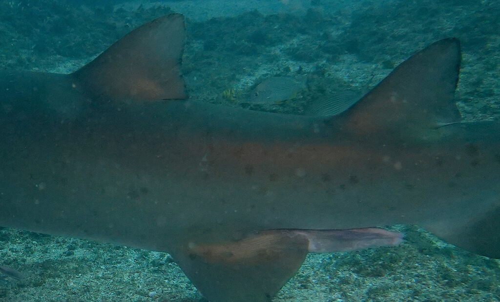 1ebe10f3-ed5c-4b7a-8b87-ce882650b3e4