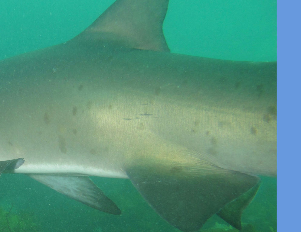 20c771ba-6ae4-41b0-a745-3d98d5e3be37