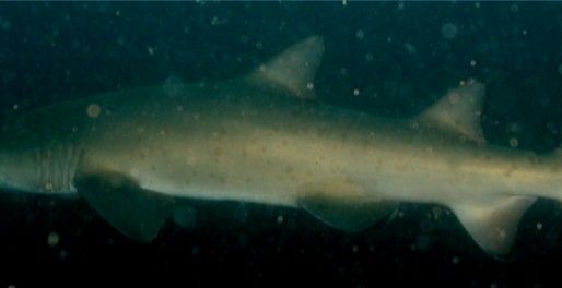 daee4caf-b665-4d4b-a54c-820ef706033d