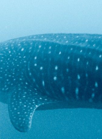 fa4715cb-66bd-4b90-a766-b618d3d90b31