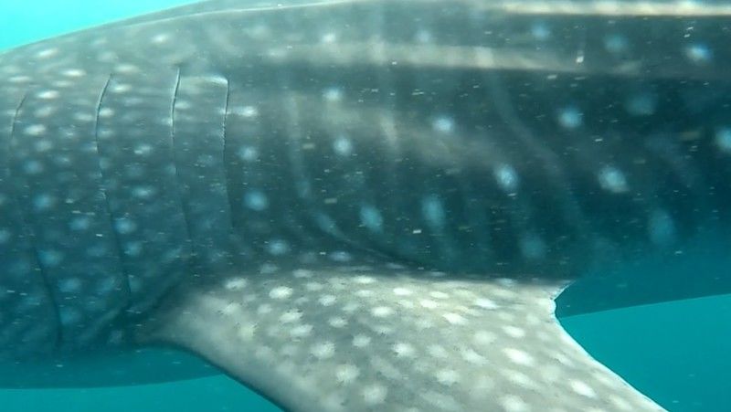 55c8fb39-7158-4ca9-bf85-419731fa9b07