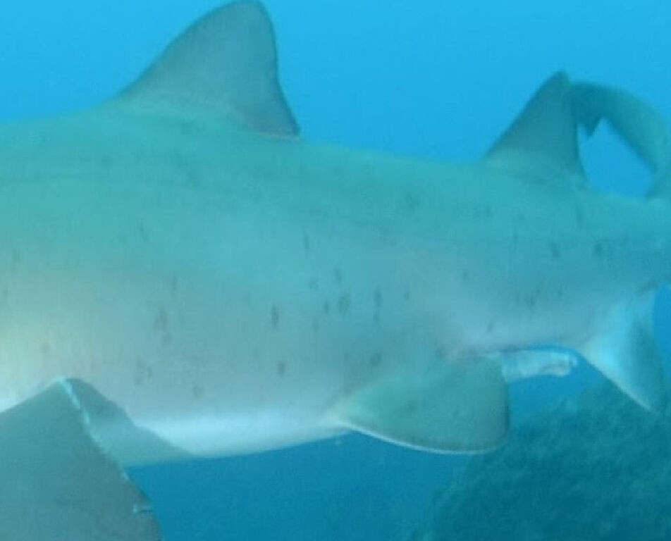 c44052e2-9d58-46cc-a51b-ee2a7bcb90f4