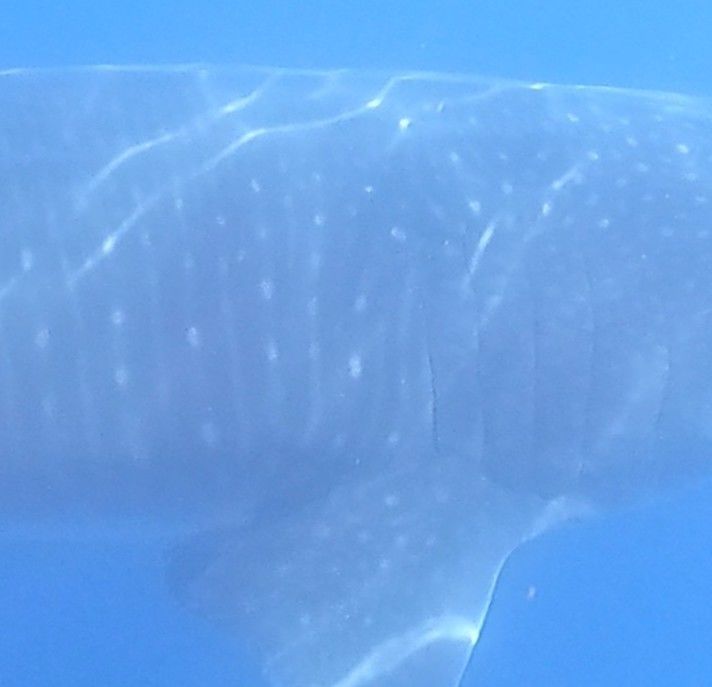 44e144cb-555c-41fa-aed1-d8470e7c6cf6