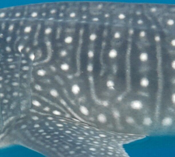 2b9b5f42-fe4f-4e93-92db-8d0027085629