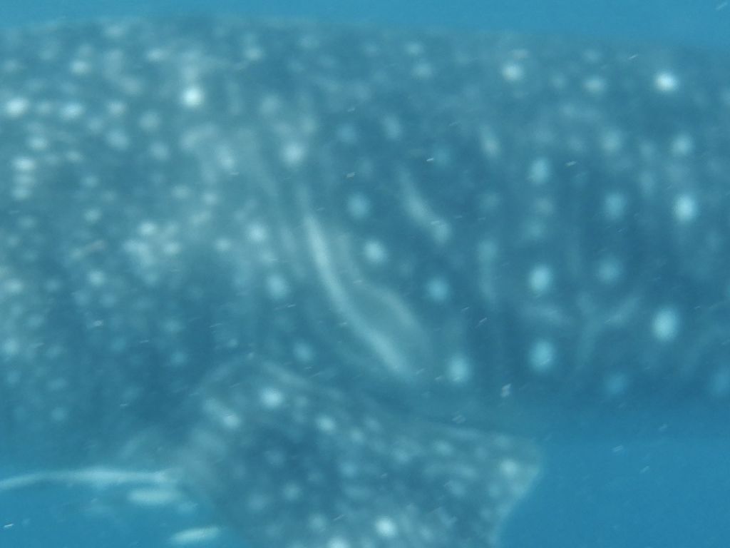 7ebd2f85-3f8d-4a56-9e8b-3882b7fc6764