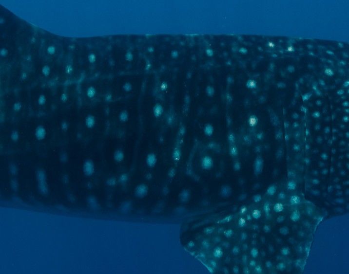 e94e84ad-541e-4ad9-bc84-46862edfe2a9