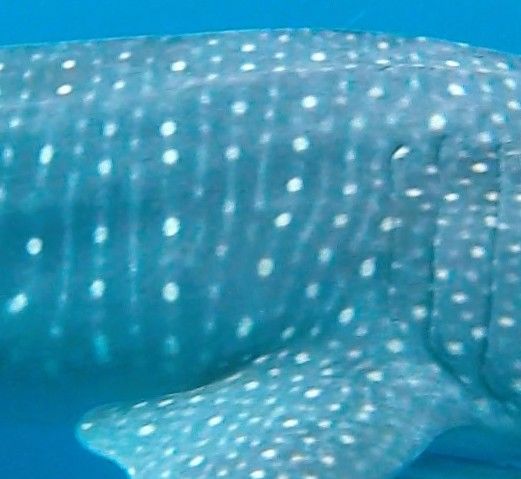 5f475aaa-c687-494b-8a22-b78f4680ea59