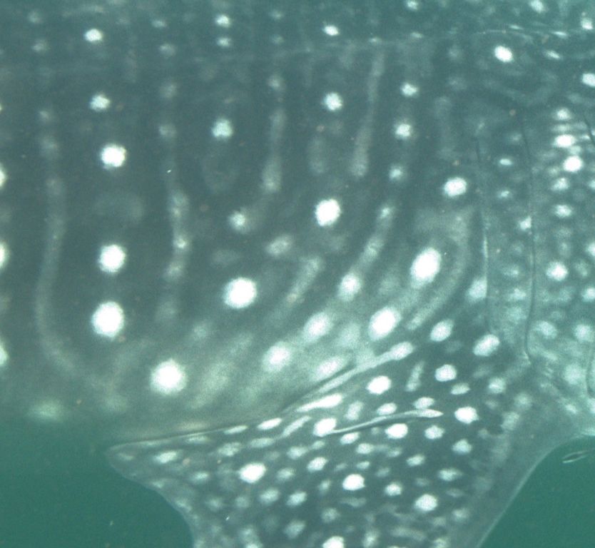 3eaf382e-8429-43ec-94c7-f279c5a73de4