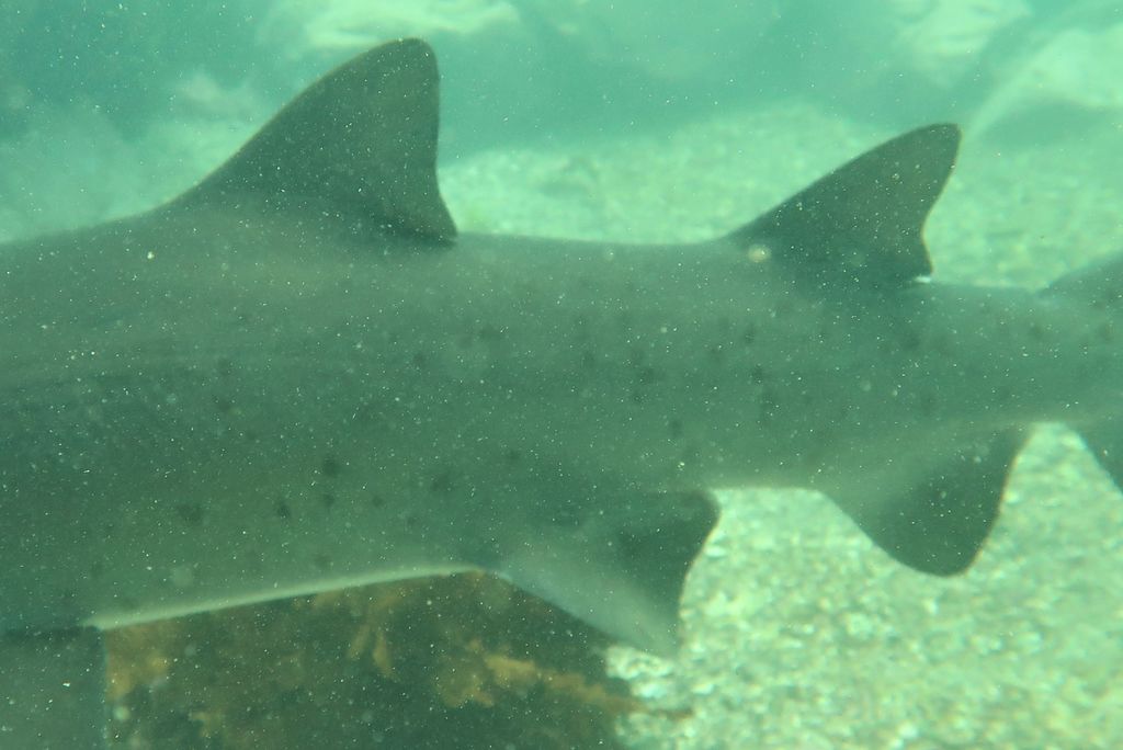 65ae03c9-0725-4b17-91a8-33ace878a43d