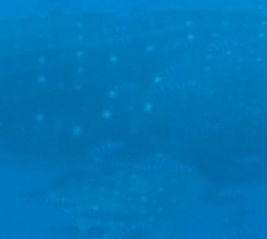 8261d656-730a-421a-8e34-19df2cdc0d20