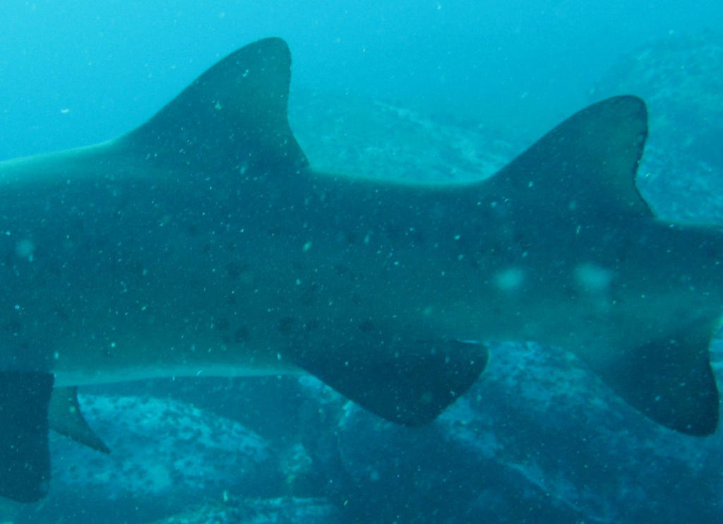 dd5e2a4c-c592-425c-9a57-39a450aaebe9