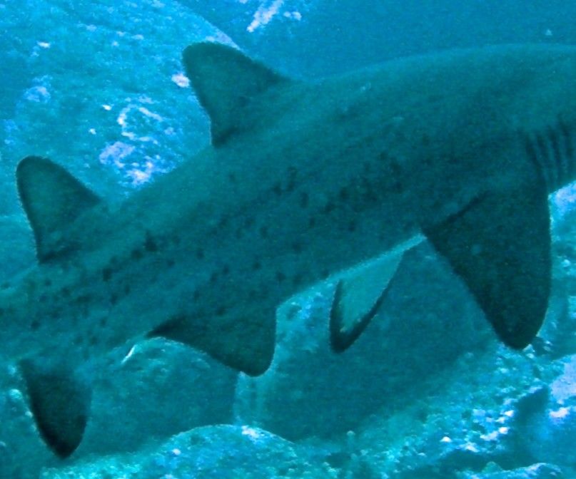 c324d474-a276-46b8-938f-36f49f2b7b1f