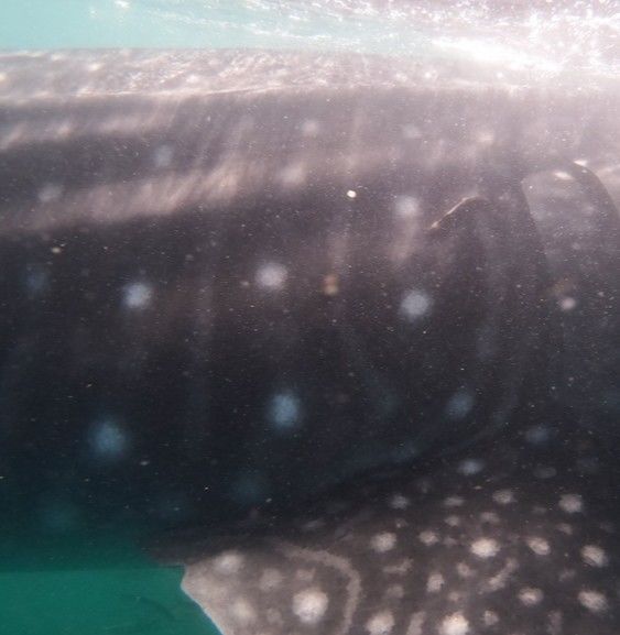 30aae6ee-fd02-48e0-8144-db86b6637198