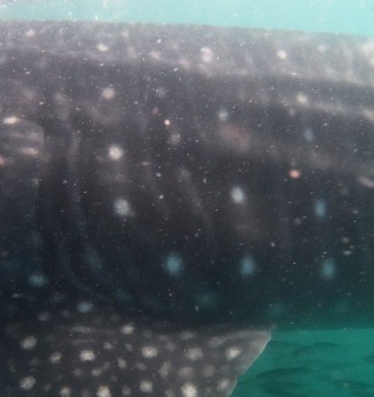 30aae6ee-fd02-48e0-8144-db86b6637198