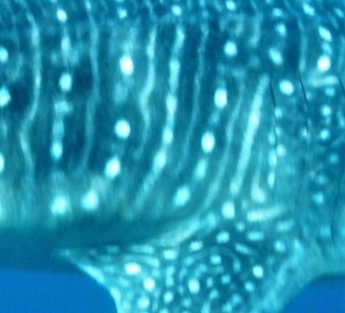 1583266a-d87a-43ae-9cdc-cd9c0b8a608f