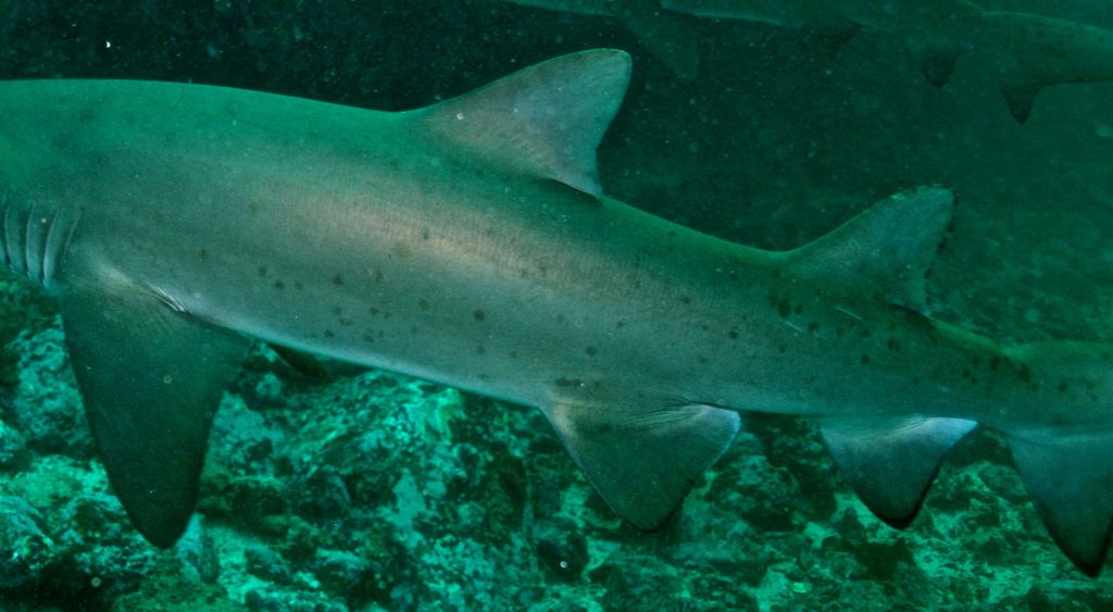 0a2a3660-8158-444b-a74a-547126cf22eb