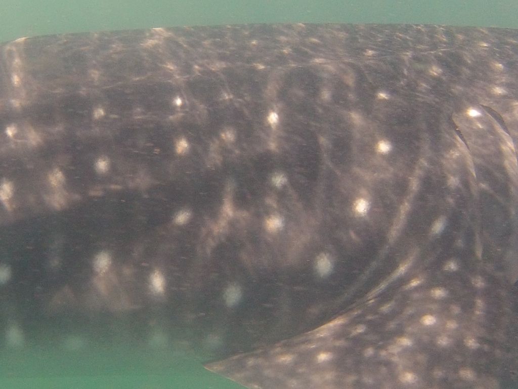 2b41d9a0-c9c5-4afa-9dbe-ab8541e79bae