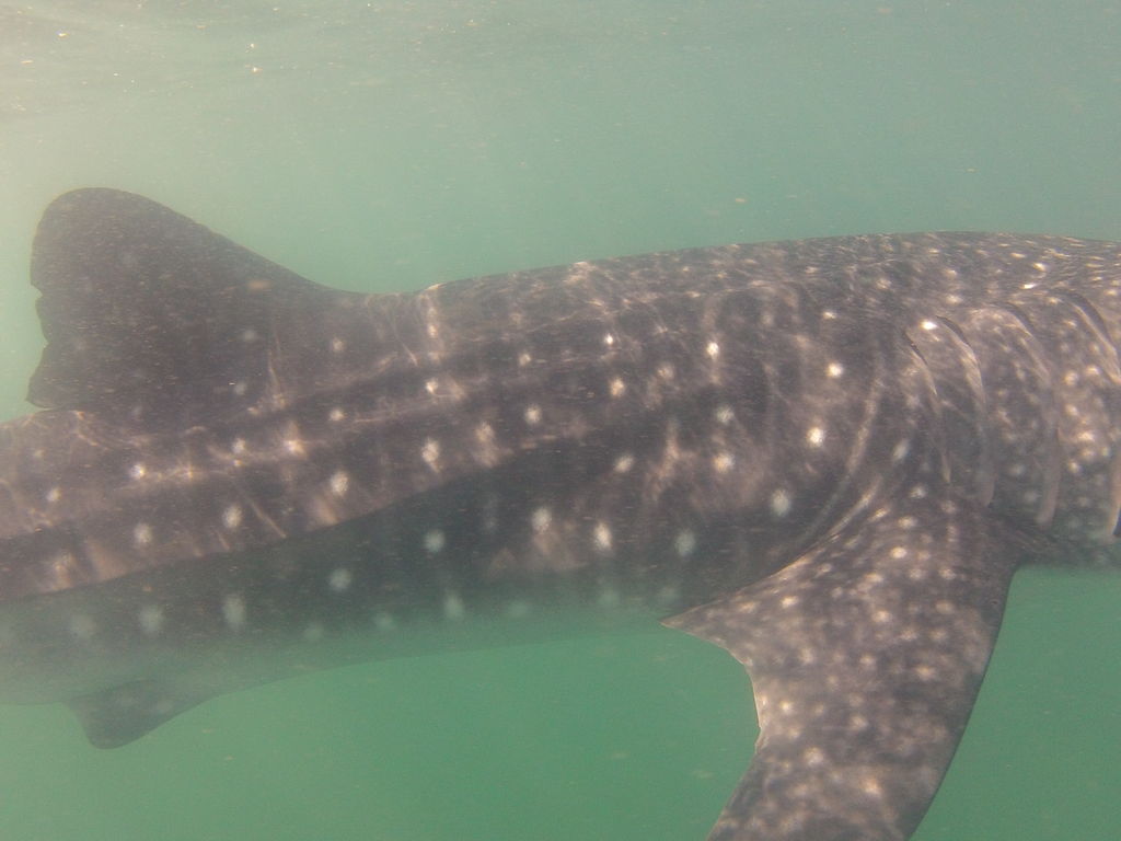 2b41d9a0-c9c5-4afa-9dbe-ab8541e79bae