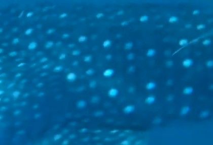 6b9d799c-282b-4f2c-9605-8165dff4d56a