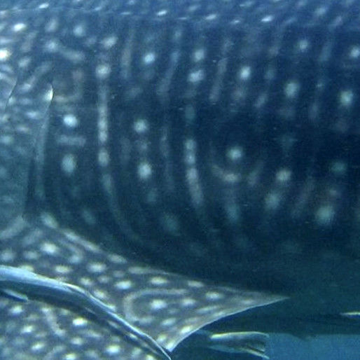 bb1ec24d-3ec2-43e2-a450-63dae98648e6