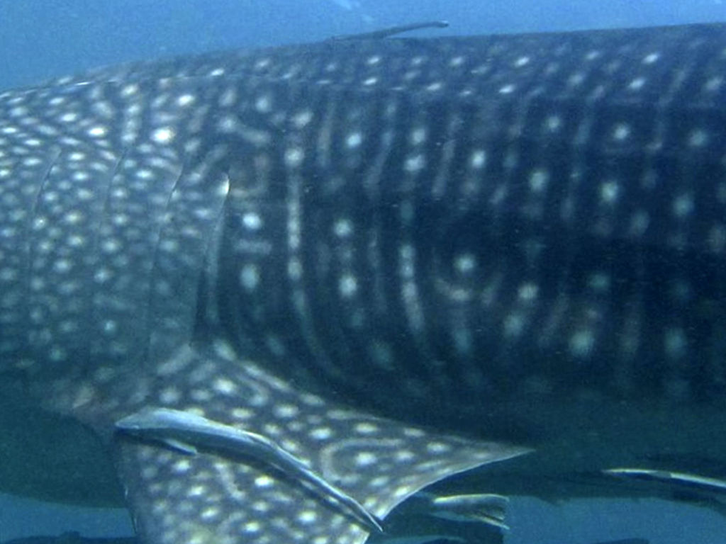 bb1ec24d-3ec2-43e2-a450-63dae98648e6