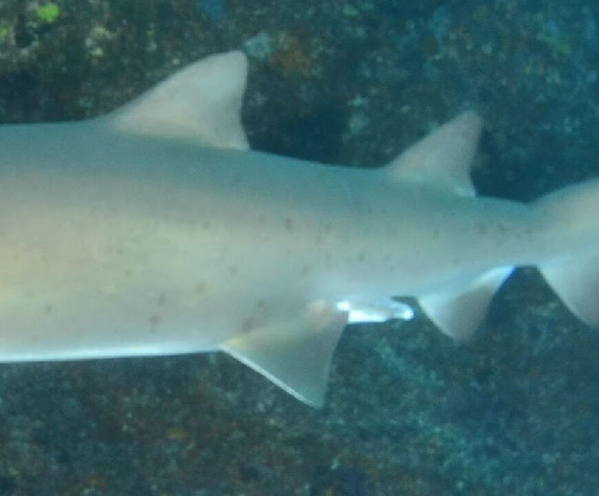 8b1c3764-e77d-4bf2-ae9e-435c5f7f2ab7