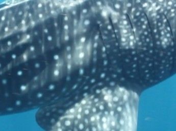 25ea1b51-d5b2-43a9-8972-763a29bd27e5