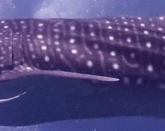 2d888bd3-a554-4a5a-bc69-68eb7a8001bd