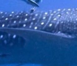 2d888bd3-a554-4a5a-bc69-68eb7a8001bd