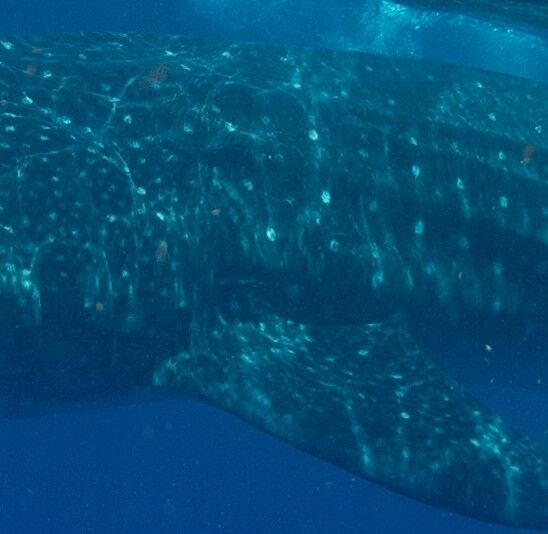 12452ad6-eb18-4b13-88cd-e97da5f4c2ef